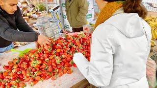 Nazareth Farmers Market (LIVE)