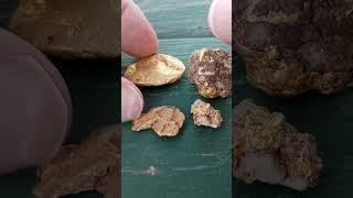 Gold Nugget or Specimen Identification
