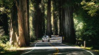 Exploring the Pacific Northwest - Long Version 4K