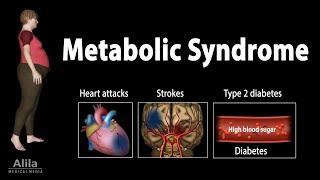 Metabolic Syndrome, Animation