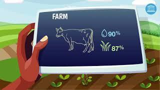 Artificial Intelligence in Agriculture