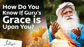 How Do You Know If Guru's Grace is Upon You? | Sadhguru