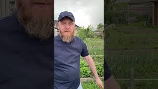 Лучшее средство от язвы от гастрита, от желудка
