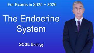 GCSE Biology Revision "The Endocrine System"