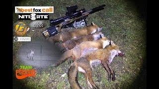 Tikka + NiteSite + Best Fox Call + Team Foxer =?