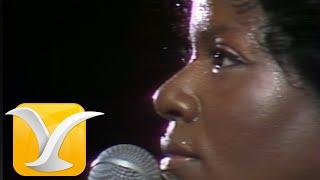 Gloria Gaynor - I Will Survive - Sobreviviré - Yo Viviré - Festival de Viña del Mar 1980 4K