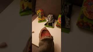 Shark Muppet Eats Sour Candies.