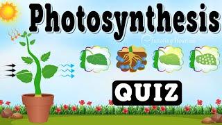 How Plants Make Food: The Photosynthesis Quiz | The Green Magic: Photosynthesis in Plants!