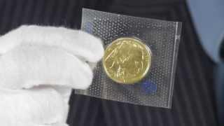 2013 1 oz American Gold Buffalo .9999 Fine (Brand New Coins) | Goldmart