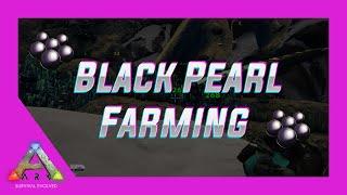 ARK - Massive Black Pearl Farming