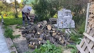 16.09.24. Все туи-малышки обслужены. Восточная сторона дома и крылечко пропитаны. Дрова наколоты.