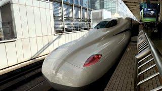 Riding Japan's FAST Shinkansen Bullet Train From Tokyo To Osaka With Heavy Luggage