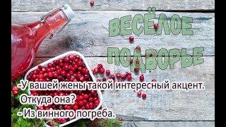 Настойка из калины, просто и вкусно! Самый быстрый рецепт.