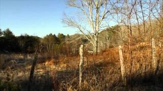 140 Coolidge Drive Home For Sale in Rosman NC