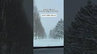 삿포로 여행 코디 꿀팁 