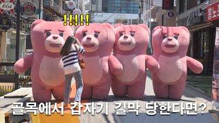 [SUB] What if four bears suddenly block your way in an alley? At Hongdae