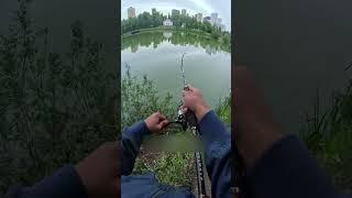 I Tried Urban Fishing And Look What I Found!