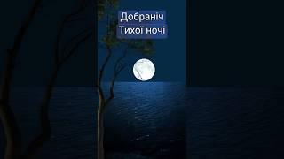 #тихоїночі #shorts