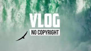 Niya - A Bloom (Vlog No Copyright Music)