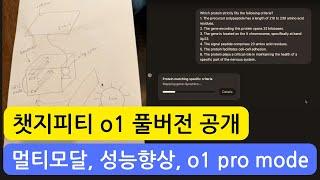 OpenAI o1 정식 버전 런칭과 200달러 ChatGPT Pro 요금제