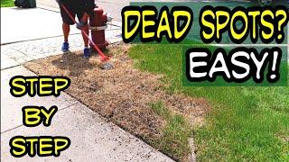 How to Fix Big Dead Spots with These Simple DIY Techniques