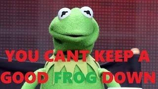 You Can't Keep a Good Frog Down!