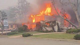 Local reactions to Los Angeles County wildfires