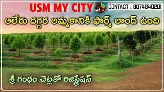 Farm land at aller | DTCP approved | warangal highway | very low prices farm land | 8074840201