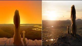 The Lion King (1994/2019) Everything the light touches