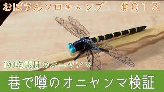 【おばキャン】13 挫折だらけのキャンプ場開拓と、虫除け最終兵器