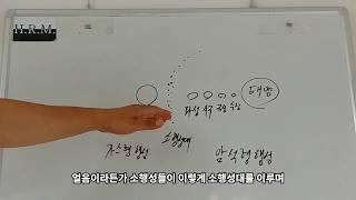 25.다섯번째 대멸종, 소행성 충돌