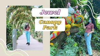 vlog | Jewel SG Airport - Canopy Tree Top Park 