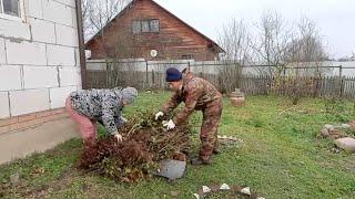 ПОСТАВИЛА ХОЛОДЕЦ И ПОШЛИ УКРЫВАТЬ ВИНОГРАД.