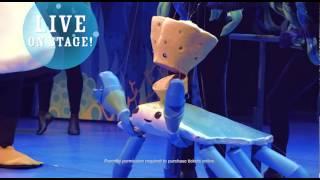 Octonauts Live! 30sec TVC