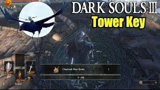 Dark Souls 3: Tower Key - How to find Snuggly The Crow & A Fire Keeper Soul!