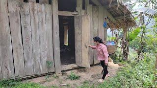 living in the woods. Girl turns abandoned house into shelter & survival