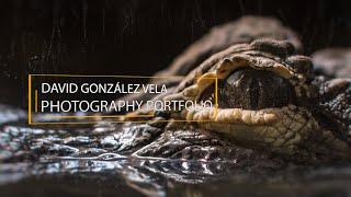 WILDLIFE PHOTOGRAPHY 2021 | David González Vela