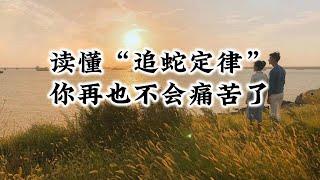 读懂“追蛇定律”，你再也不会痛苦了