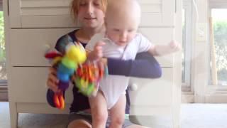 Play & Learn with Lamaze Toys