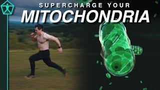 How to Supercharge Your Mitochondria for Energy, Endurance, and Longevity! - A Comprehensive Guide