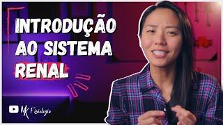 INTRODUÇÃO À FISIOLOGIA DO SISTEMA RENAL | MK Fisiologia