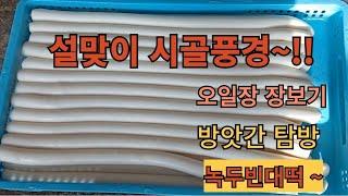 설맞이 시골풍경~!!오일장 장보기 방앗간탐방,맛나는녹두빈대떡만들기 #녹두전맛있게만드는법#떡국만들기