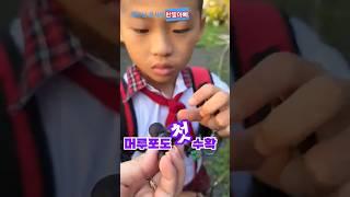 [한베부부] 베트남 우리집에 어떤일이 #포도 #국제커플 #한빛아빠