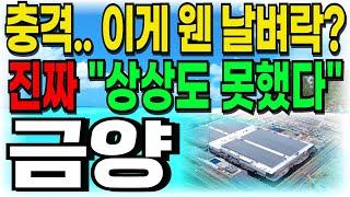 [금양 주가전망] 충격... 이게 웬 날벼락? 진짜 "상상도 못했다" 주주여러분들 빨리 시청하세요