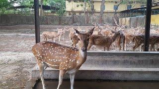 THRISSUR ZOO/Thrissur/Kerala/Vowstay