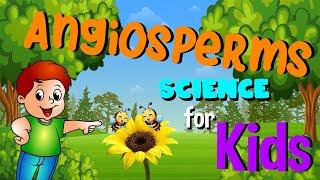 What are Angiosperms | Flowering plant |  Science for Kids