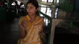 Beautiful sri lankan explains about tea making process | Sri Lanka Tea processing