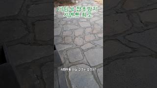 전원주택 마당 디딤석 사이 잡초방지작업 | 시멘트가 최고