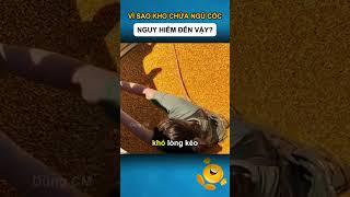 VÌ SAO KHO CHỨA NGŨ CỐC NGUY HIỂM ĐẾN VẬY?