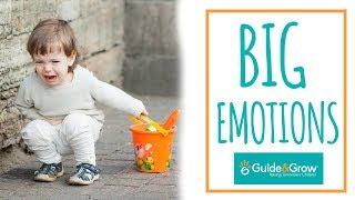 Tantrums & Meltdowns - Dealing with BIG emotions! | Guide & Grow TV